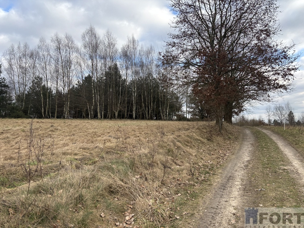 Działka Sprzedaż Kikorze 9