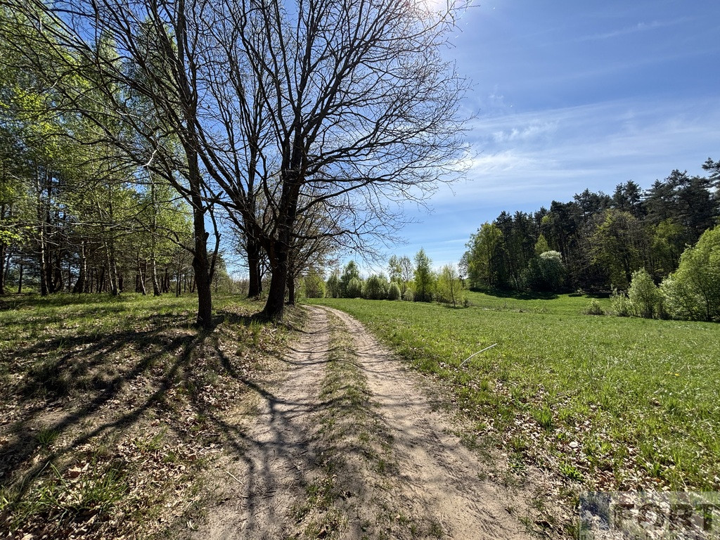 Działka Sprzedaż Kikorze 4
