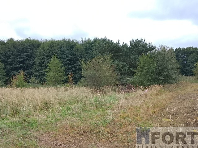 Działka Sprzedaż Stara Dąbrowa