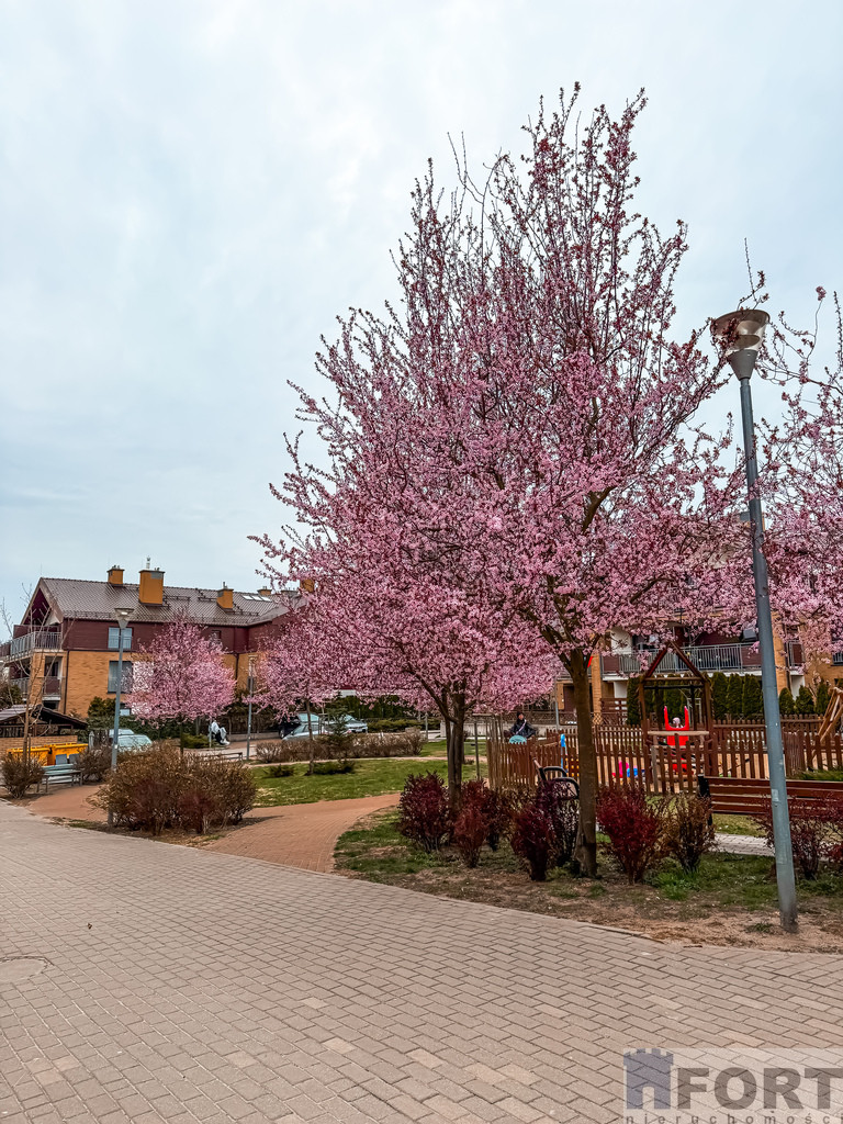 Mieszkanie Sprzedaż Szczecin Warszewo 8