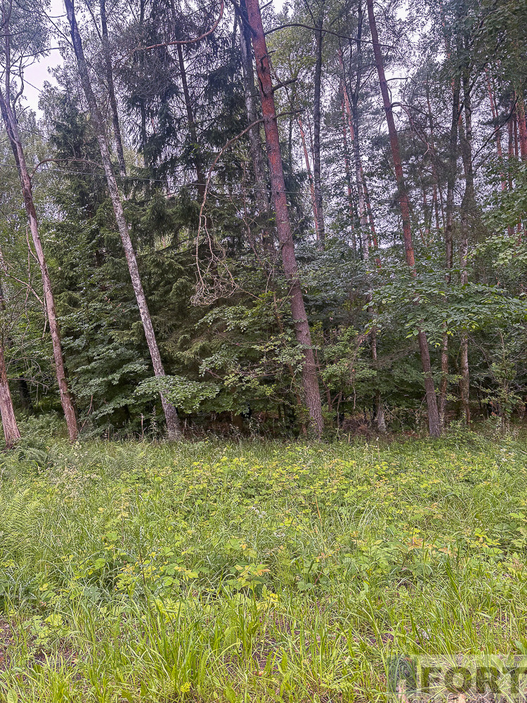 Działka Sprzedaż Piaseczno