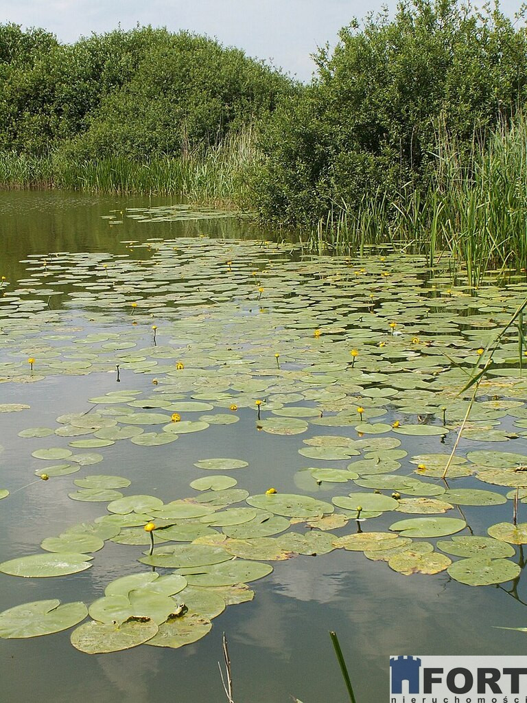 Działka Sprzedaż Giżyn