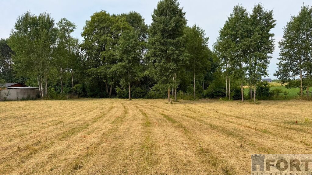Działka Sprzedaż Marszewo
