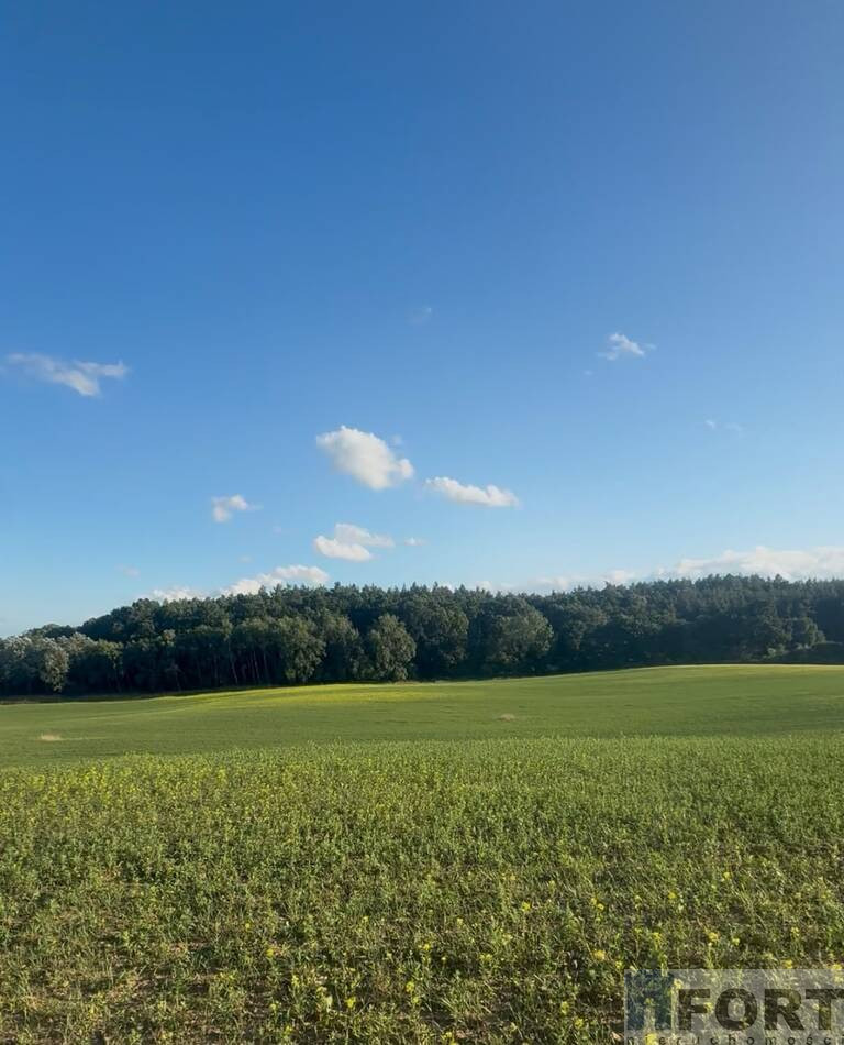 Działka Sprzedaż Buk 1