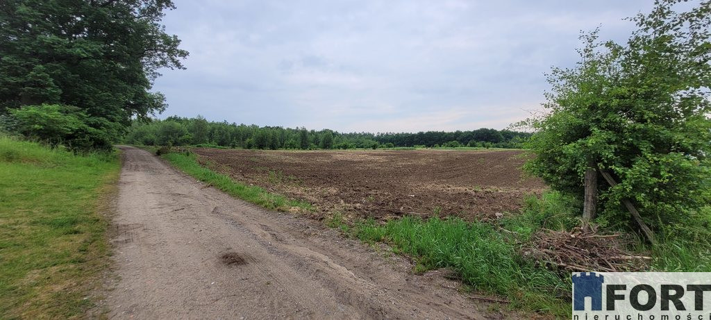 Działka Sprzedaż Binowo 2