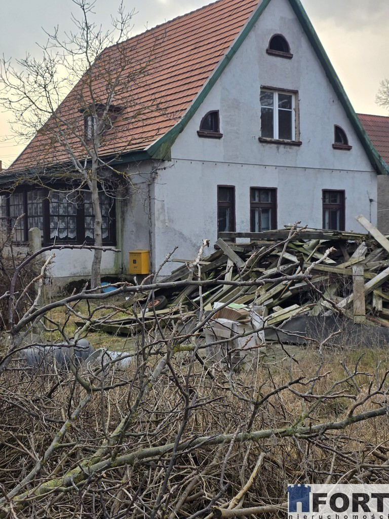 Dom Sprzedaż Trzebież Leśna 4