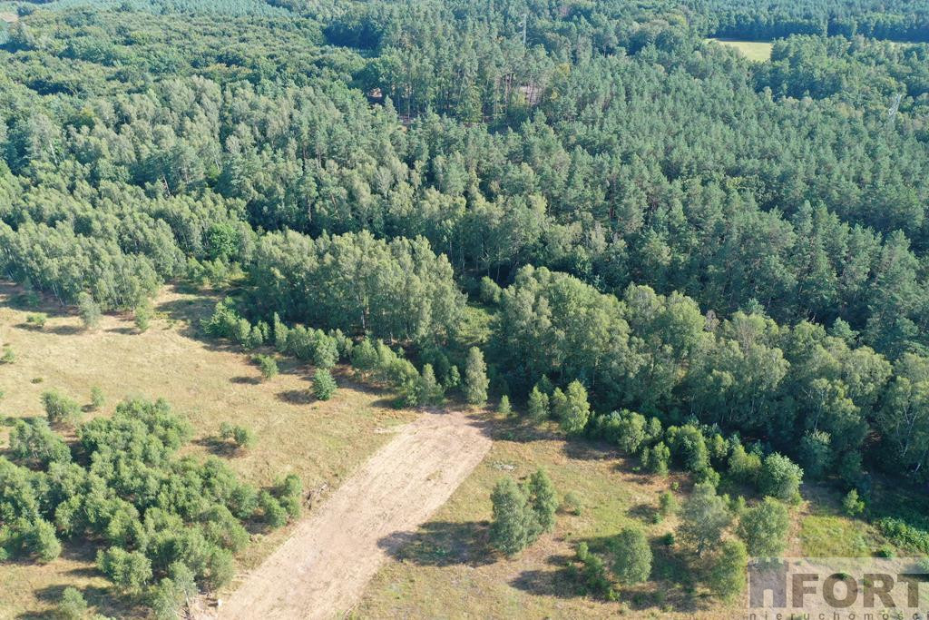 Działka Sprzedaż Krzywice 1