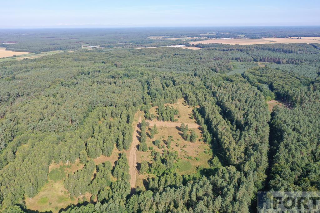 Działka Sprzedaż Krzywice 5