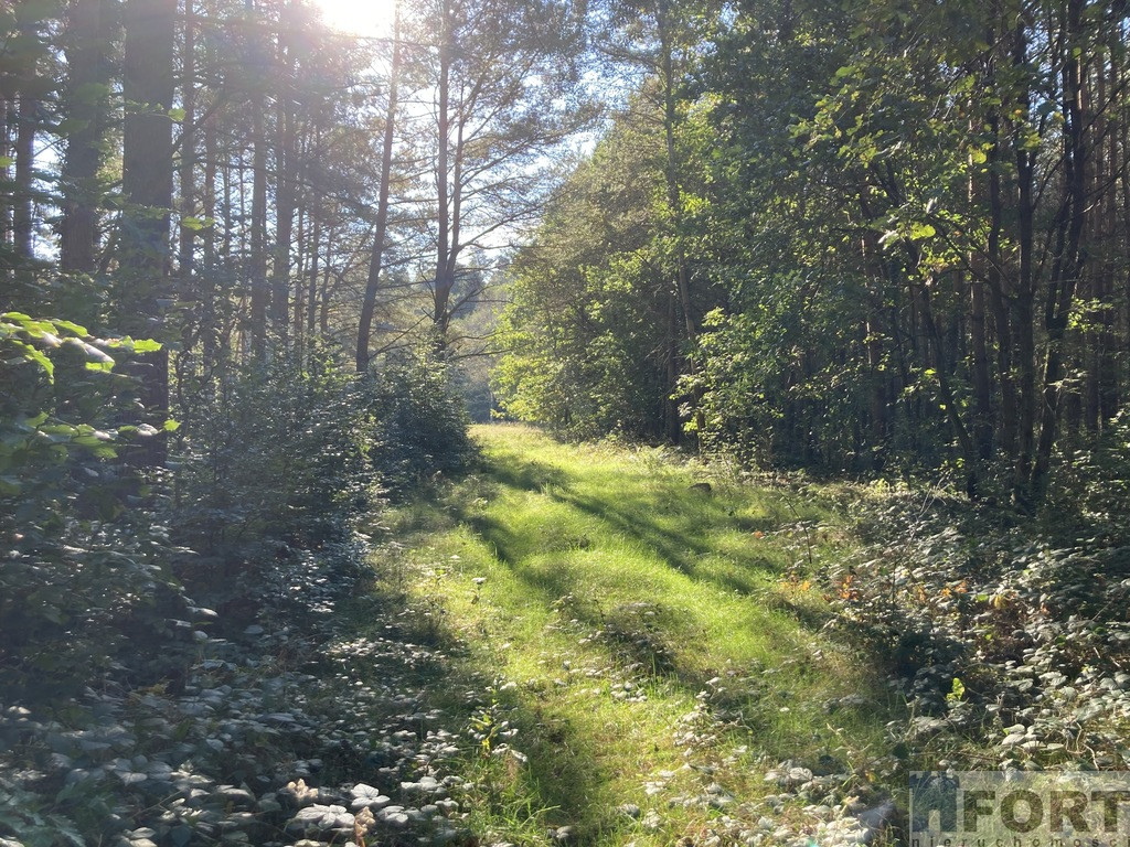 Działka Sprzedaż Krzepocin