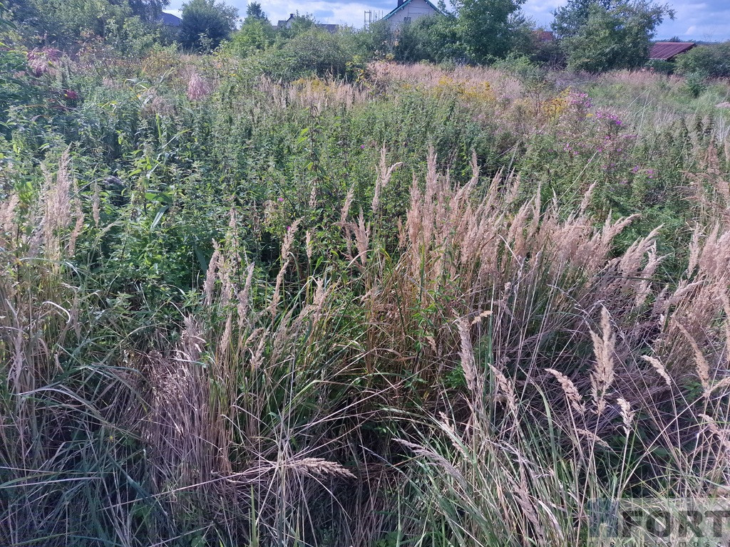 Działka Sprzedaż Wołczkowo