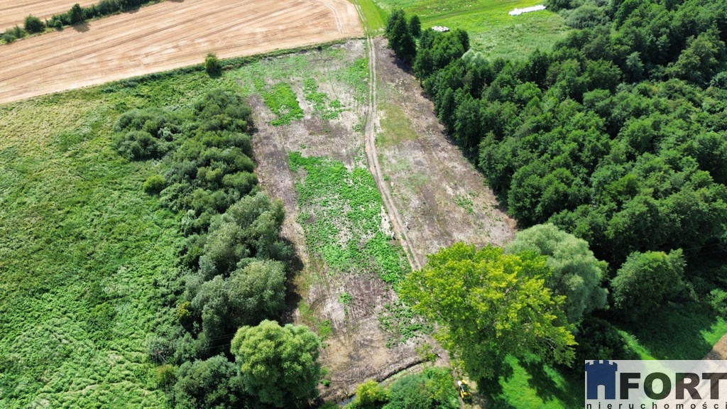 Działka Sprzedaż Stare Chrapowo 6