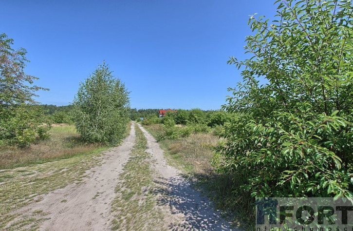 Działka Sprzedaż Rurzyca 6