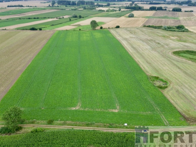 Działka rolna Bielice - ok. 6Ha Klasa RIIIb i RIVa