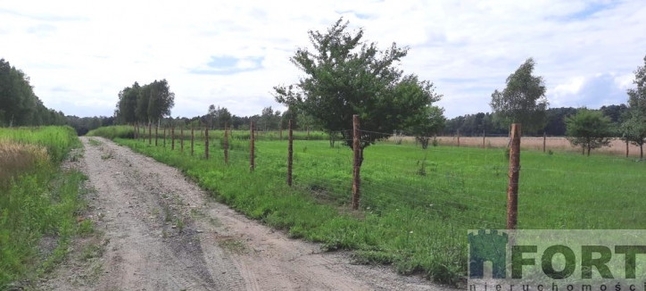 Działka Sprzedaż Smogolice 1