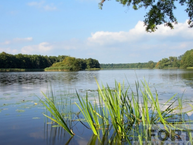 Hit. Działki z linią brzegową jeziora