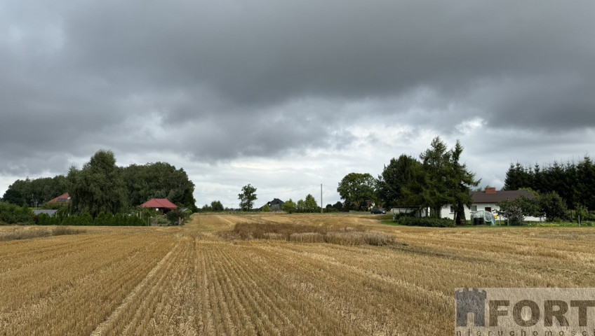 Działka Sprzedaż Kolonia Maszewo