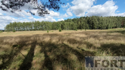 Działka Sprzedaż Komarowo