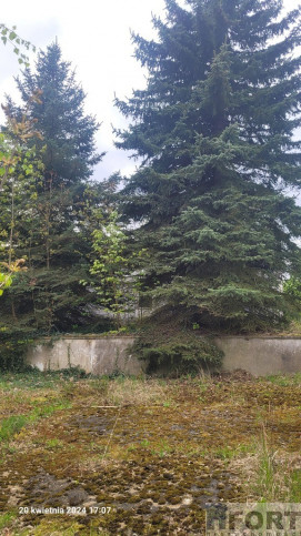 Działka Sprzedaż Recz Kolejowa 1