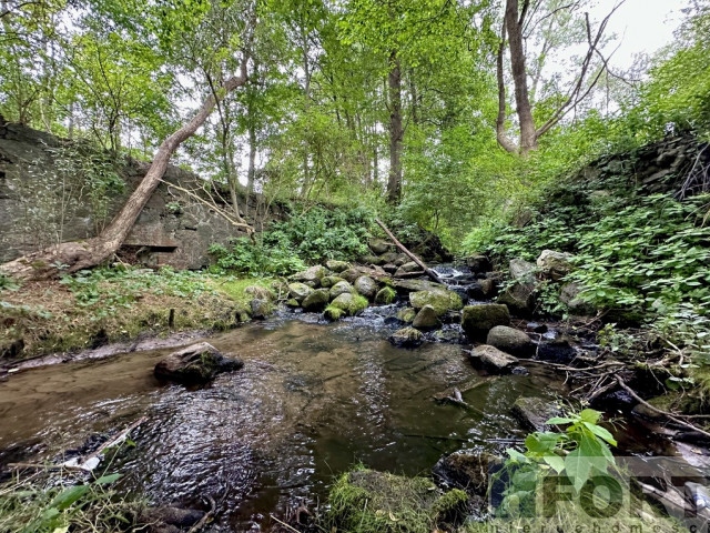 Piękna działka w Stawnie, 2,92 ha