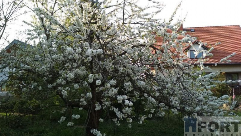 Działka Sprzedaż Szczecin Pogodno