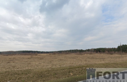 Działka Sprzedaż Skórka