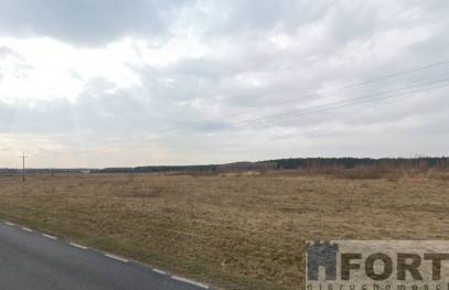 Działka Sprzedaż Skórka