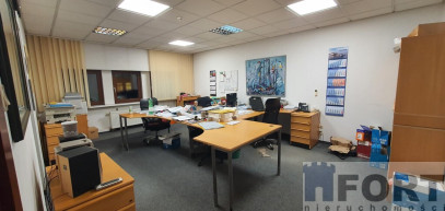 Lokal Wynajem Szczecin Śródmieście-Centrum