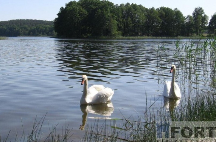 Działka Sprzedaż Zabierzewo 1
