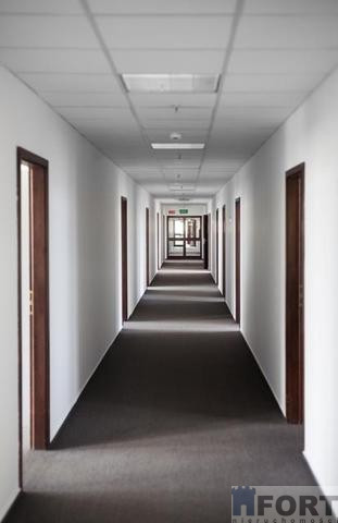 Lokal Wynajem Szczecin Śródmieście 4
