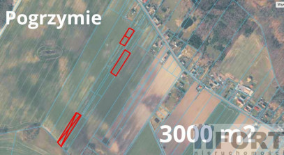 Działka Sprzedaż Pogrzymie