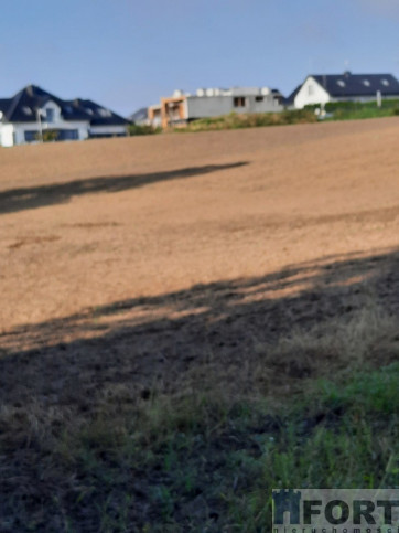 Działka Sprzedaż Kurów 5