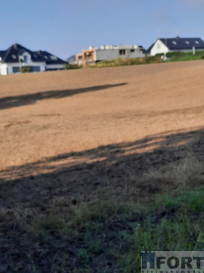 Działka Sprzedaż Kurów