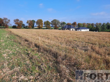 Działka Sprzedaż Kurów