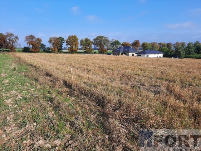 Działka Sprzedaż Kurów 6