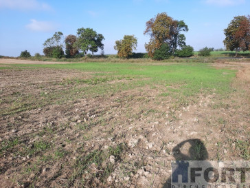Działka Sprzedaż Kurów