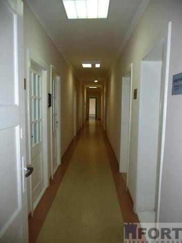 Lokal Wynajem Szczecin Centrum 8
