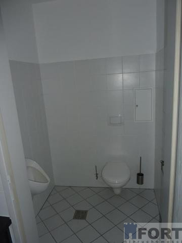 Lokal Wynajem Szczecin Centrum 11