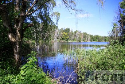 Działka Sprzedaż Bartoszewo