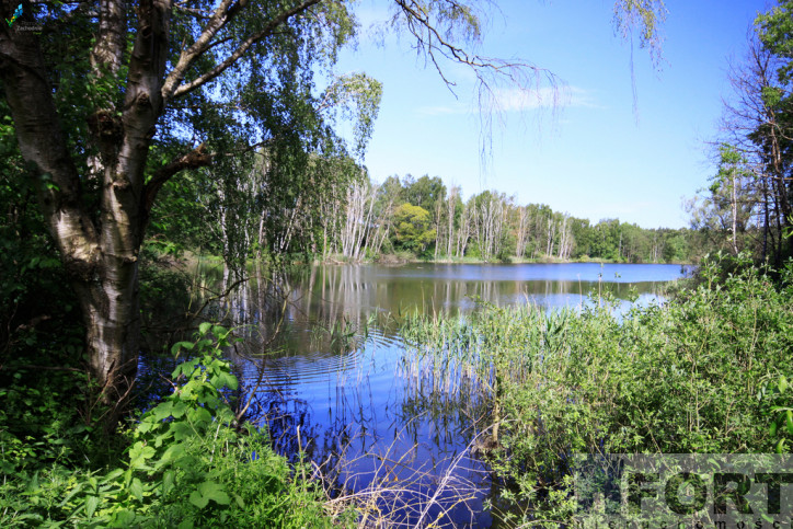 Działka Sprzedaż Bartoszewo 4