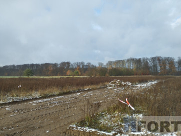 Działka Sprzedaż Dobropole Gryfińskie