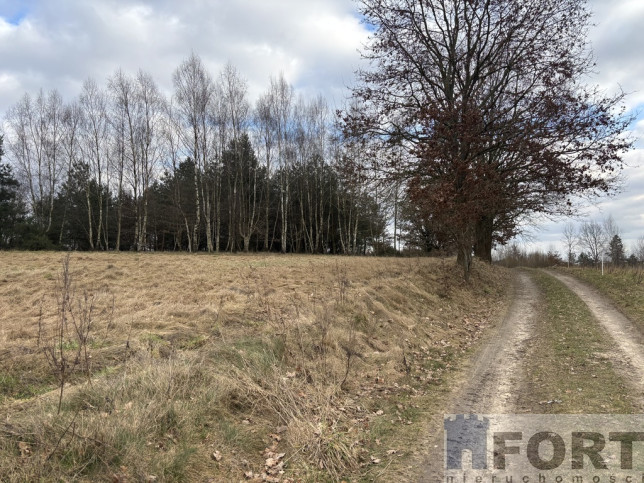 Działka Sprzedaż Kikorze 9