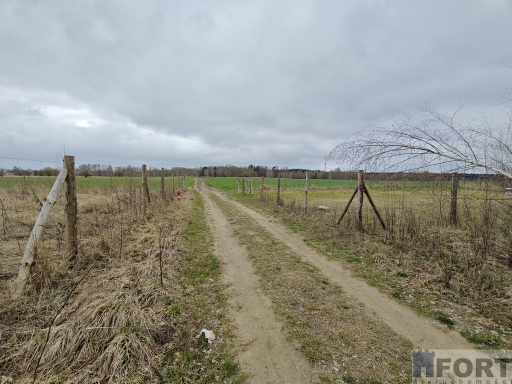 Działka Sprzedaż Wąwelnica