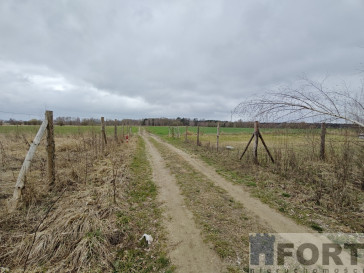 Działka Sprzedaż Wąwelnica