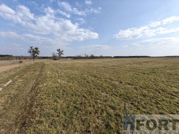 Działka Sprzedaż Stepnica