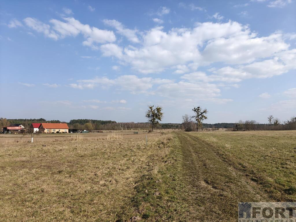 Działka Sprzedaż Stepnica