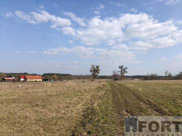 Działka Sprzedaż Stepnica