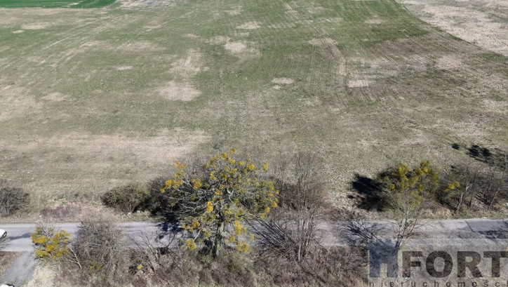 Działka Sprzedaż Buk 14