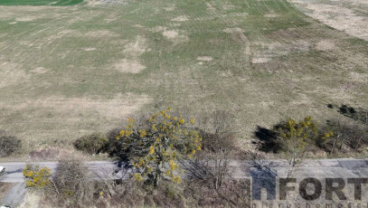 Działka Sprzedaż Buk