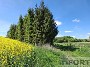 Działka Sprzedaż Parsów