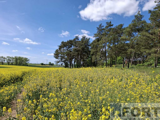 Działka Sprzedaż Parsów 4